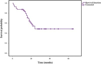 Preliminary Efficacy Report and Prognosis Analysis of Endoscopic Endonasal Nasopharyngectomy for Recurrent Nasopharyngeal Carcinoma